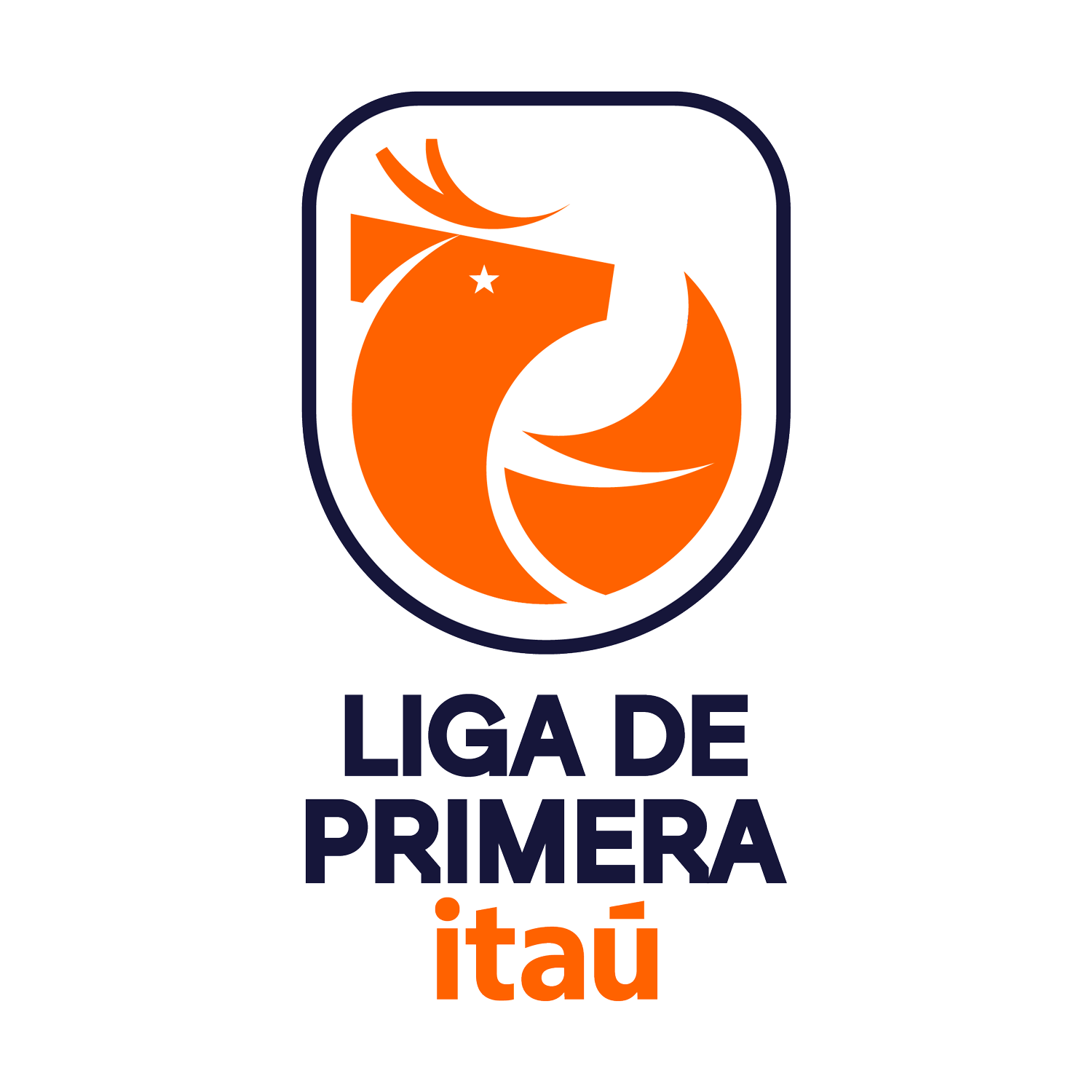 Liga De Primera Itau