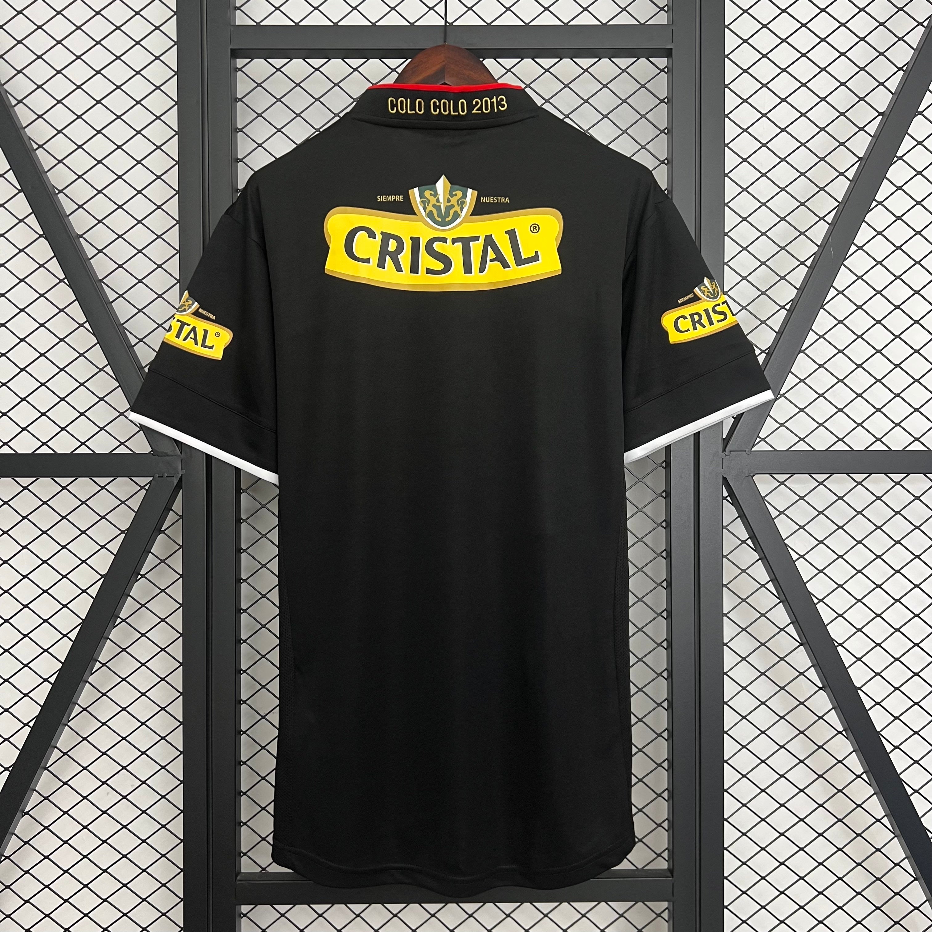 Colo-Colo 2013 Visita